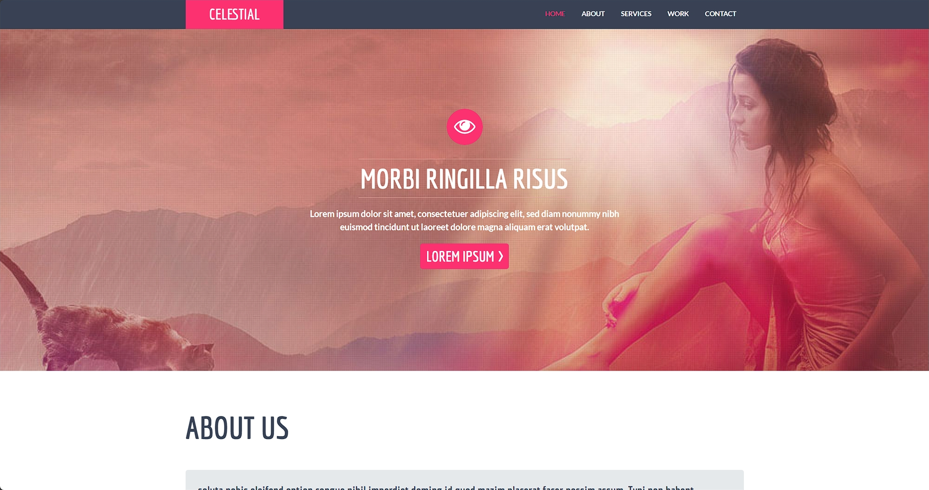 个性产品服务信息网页模板-柒伍零丨网络资源社区